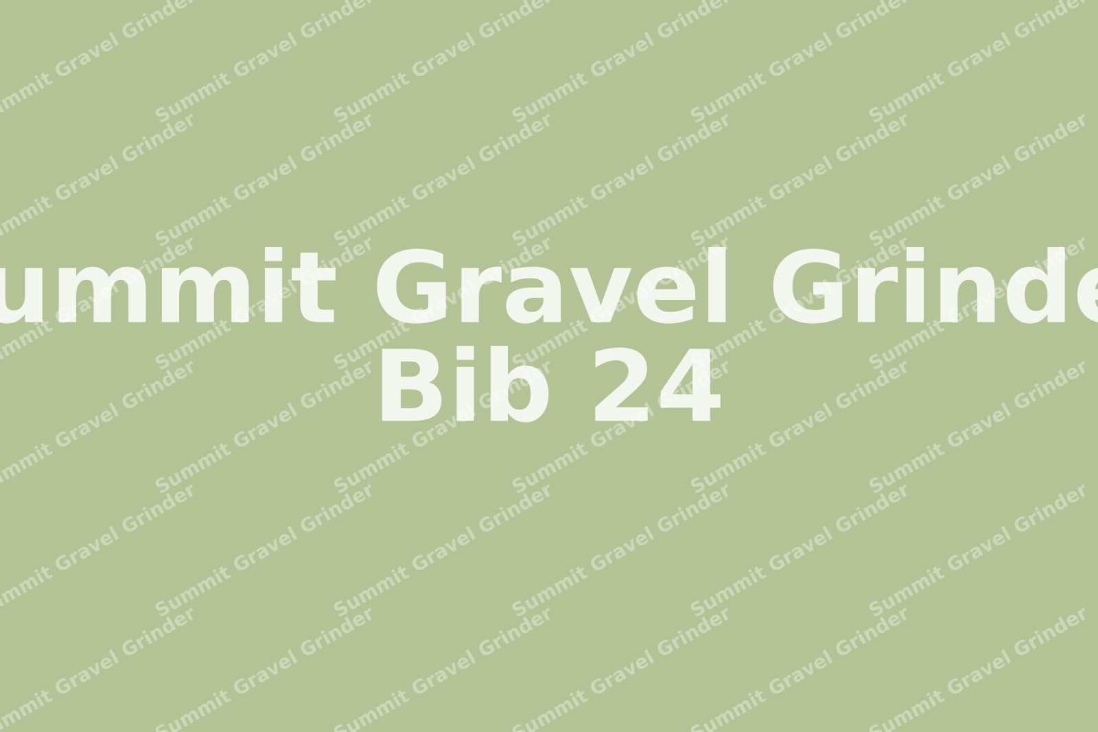 Summit-Gravel-Grinder-24
