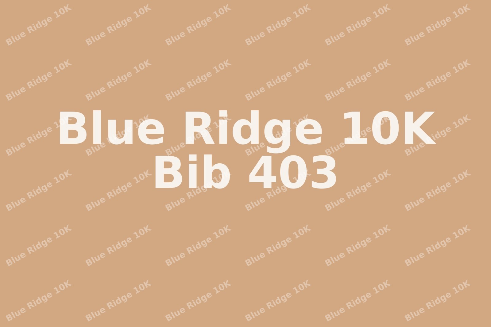 Blue-Ridge-10K-403