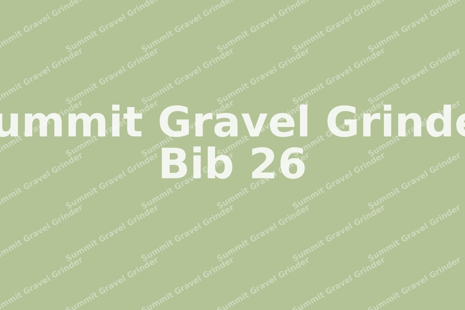 Summit-Gravel-Grinder-26