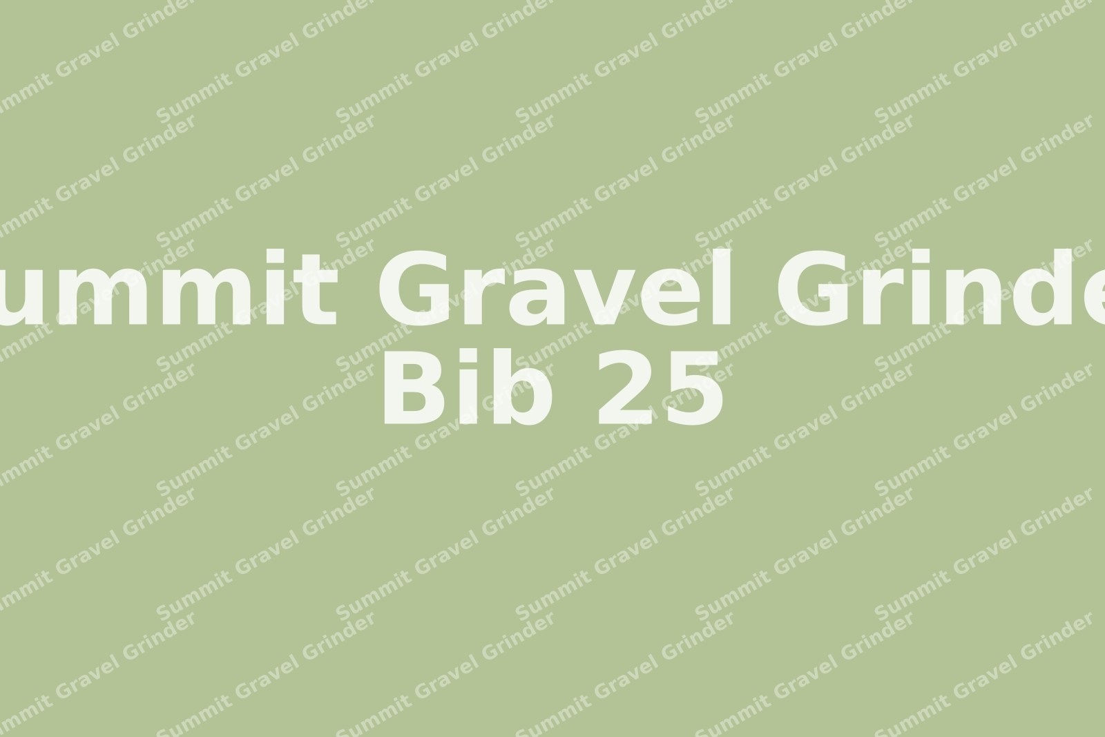 Summit-Gravel-Grinder-25