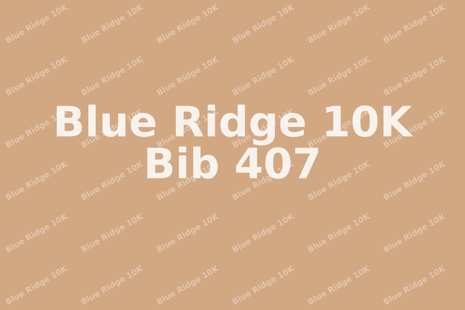 Blue-Ridge-10K-407