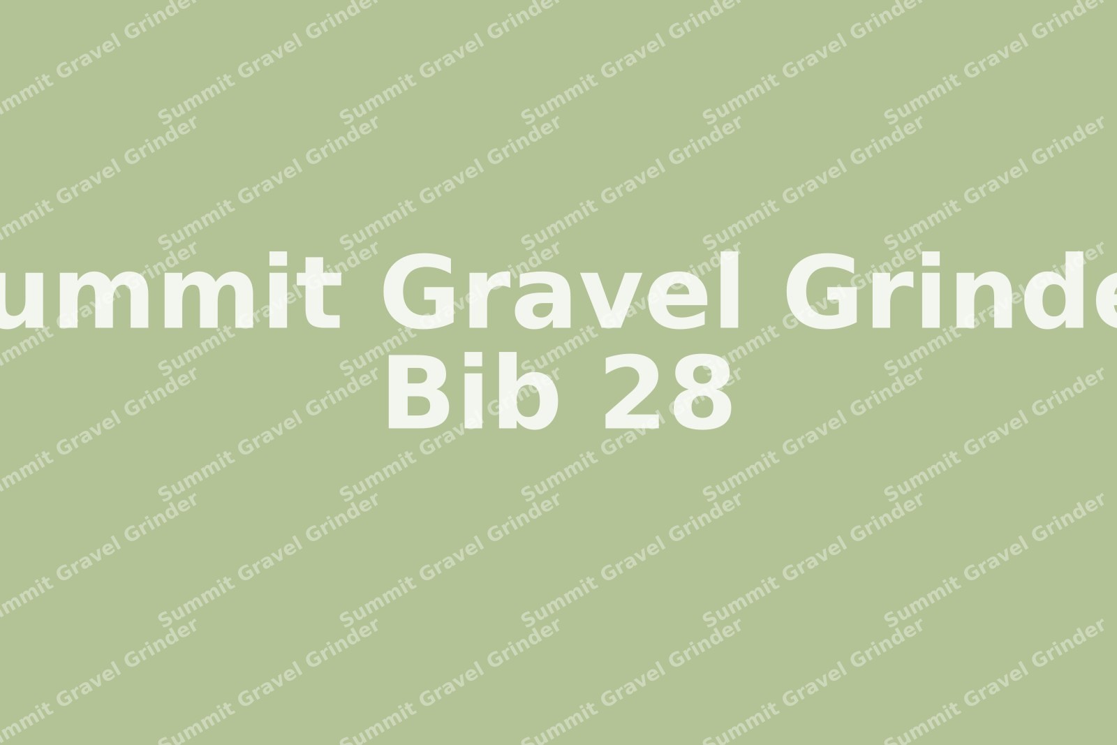 Summit-Gravel-Grinder-28